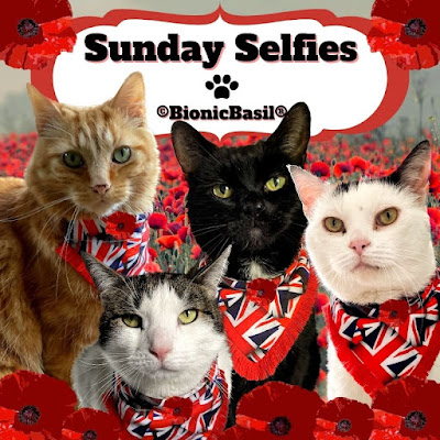 The B Team's Poppy Day Sunday Selfies Banner  ©BionicBasil®
