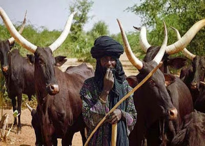  Police, Edo Communities Move to tame Fulani herdsmen