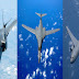 US to send F-35 stealth fighter, B1 Lancer bomber and KC-46 tanker to Aero India 2023