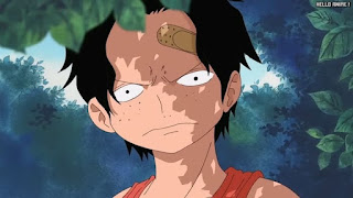 ワンピースアニメ 頂上戦争編 460話 エース 幼少期 Portgas D. Ace | ONE PIECE Episode 460