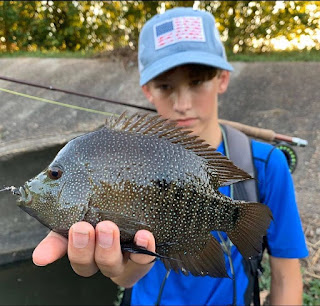 Year of the Rio, YOTRio, YOTRio2021, #YOTRio2021, Rio Grande Cichlid, Texas Cichlid, Rio Grande Cichlid on the Fly, Fly Fishing for Rios, Fly Fishing for Rio Grande Cichlid, Stavros Cotsoradis, Pat Kellner, Texas Freshwater Fly Fishing, TFFF, Fly Fishing Texas, Texas Fly Fishing