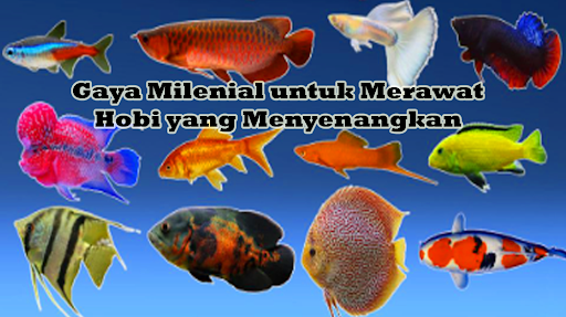 Gaya Milenial untuk Merawat Hobi yang Menyenangkan