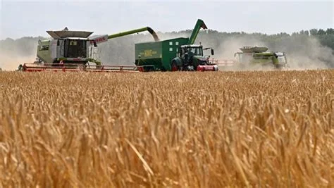 كم ستخسر أوكرانيا بسبب الحظر الزراعي في أوروبا الشرقية؟
