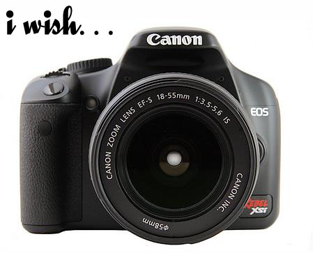 canon rebel xt dslr. Don Schap#39;s rantings: Canon