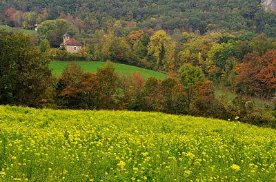 Landscape image of the french countryside in autumn