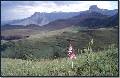 The Drakensberg, South Africa