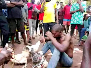 Man Flogged For Allegedly Stealing Chickens In Benue Community