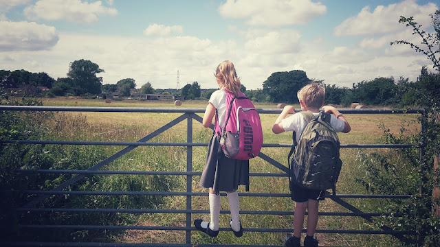 Project 365 2015 day 203 - School's out for Summer // 76sunflowers