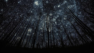 http://incrediblearticles.info/stunning-starry-skies?utm_campaign=ml&utm_term=28497079