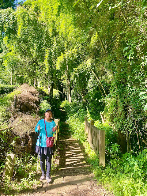 頂石棹步道--茶之道