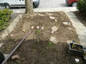 Davisville Mount Pleasant East Spring Front Garden Cleanup After by Paul Jung Gardening Services a Toronto Gardening Company