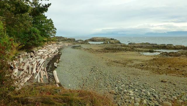  Looking along Indian Beach towards Neck Point (2013-08-17)