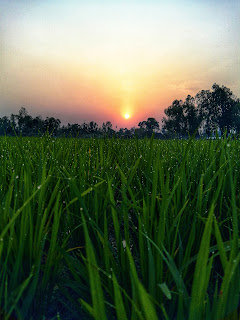 Beautiful sunset