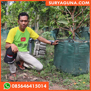  planter bag dari suryaguna 085646415014