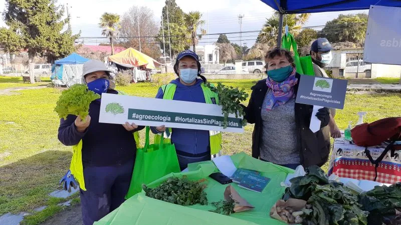 Instalan “Mercado Simulado” en Río Bueno