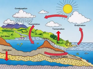 Discuss various factors which affect the variation in the climate of a place.
