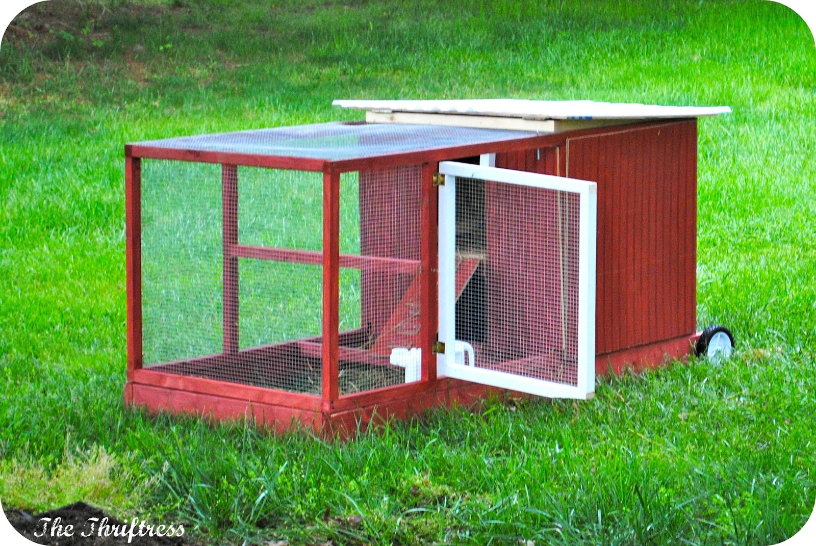 Pets / Amish Made Chicken Coops Images - Frompo