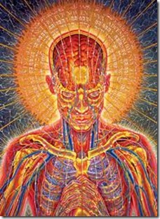 ayahuasca