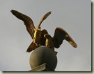 2446884173_eb7007d38f