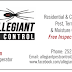 Allegiant Pest Control