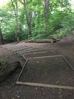 Trail steps on Craiglockhart hill.