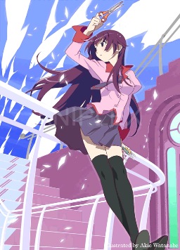 Bakemonogatari 01