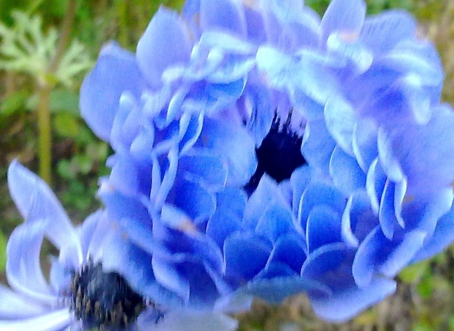 14082011270