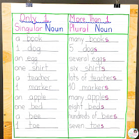 Singular and Plural Nouns Anchor Chart