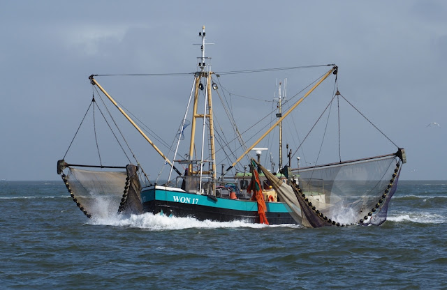 Terschelling, Vlieland, Ameland,Wadden, Waddenzee, klipper, zeilboot, Waddeneilanden, Iselmar, Noordzee, 