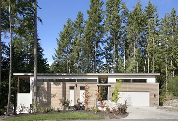 Natural Plywood House