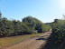 Track alongside Homersfield sand and gravel pits