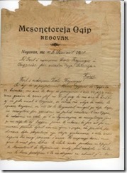shkresa-e-petro-nini-luarasit-233x320 shkresa-e-petro-nini-luarasit-233x320