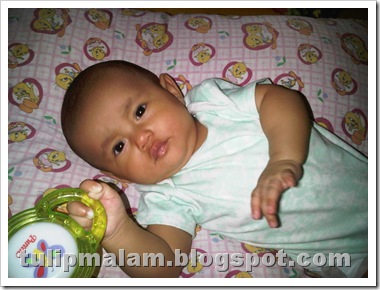 IMG02154-20111225-1712