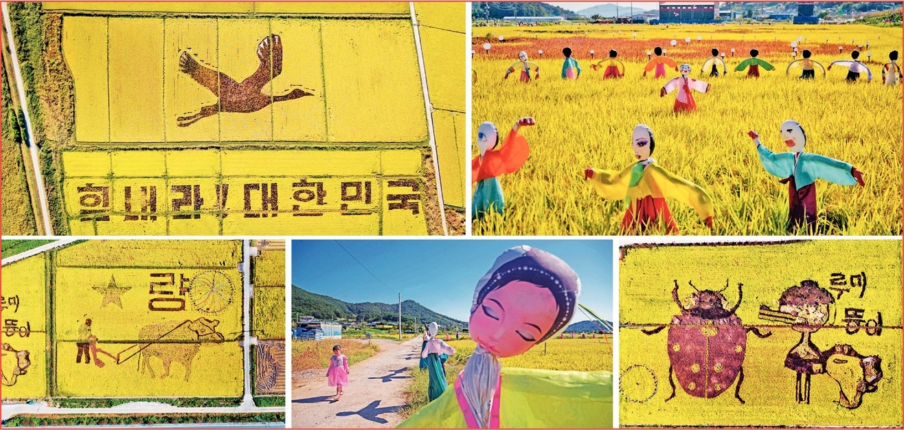 Attempts to boost morale from the figure prepared in paddy fields in South Korea