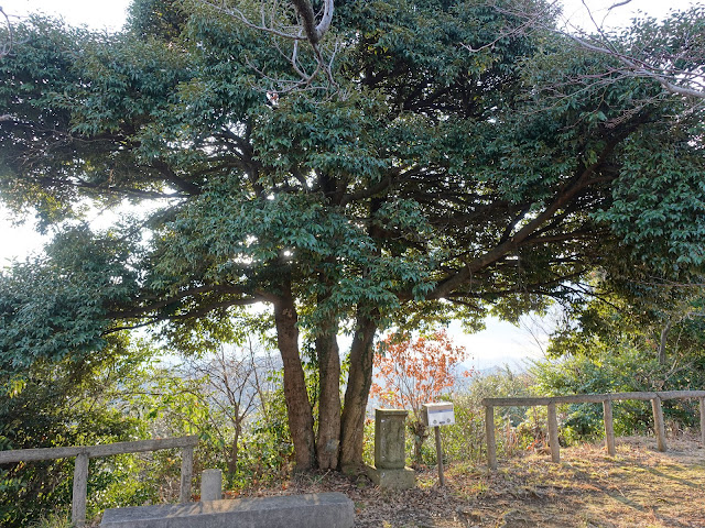 清水展望台(清水公園)