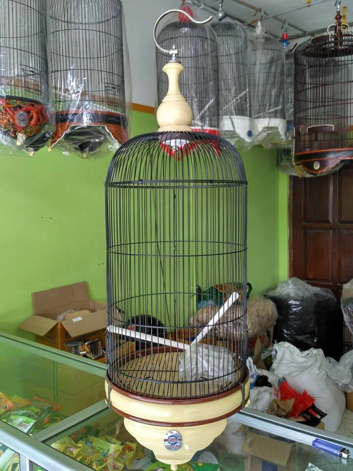 Kandang Burung Lovebird Ebod