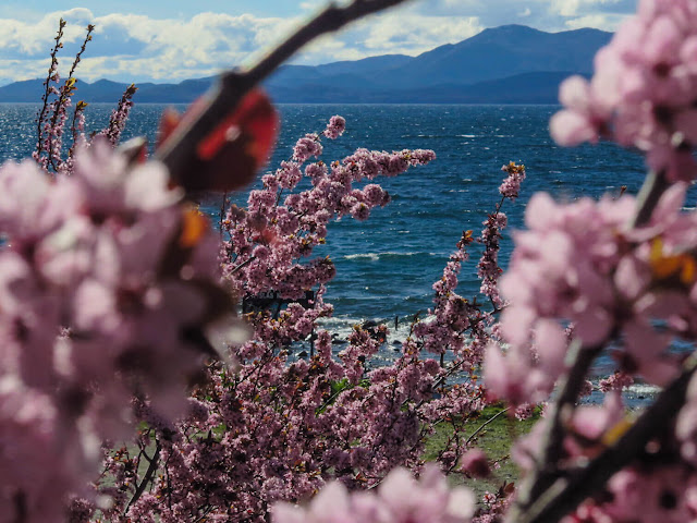 Blog Apaixonados por Viagens - Primavera em Bariloche