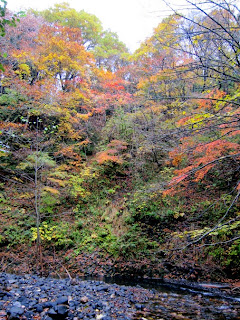 渓谷の紅葉