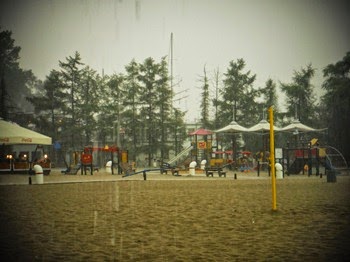 DSCF9342