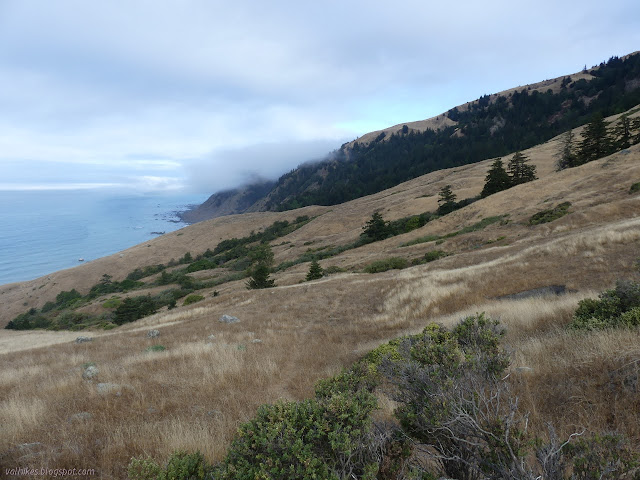 north along the coast, back along Cooskie Spur Route