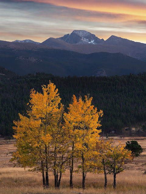 Longs Peak in Autumn in Rocky Mountain National Park Colorado near Estes Park with aspen trees