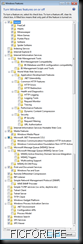 WindowsFeaturesStarter32
