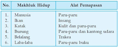 Makhluk hidup dan alat pernapasannya.