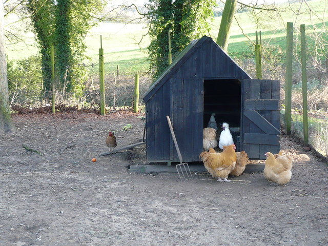 bits and pieces....: From chicken coops to castles...