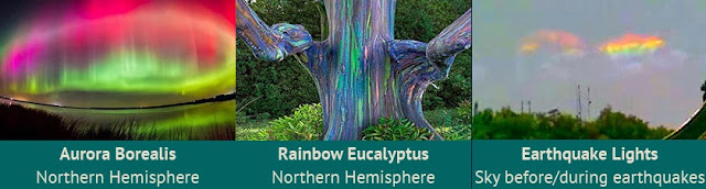 30 Weird and Wonderful Natural Phenomena From Around the World 13. Aurora Borealis - Northern Hemisphere 14. Rainbow Eucalyptus - Northern Hemisphere 15. Earthquake Lights - Sky