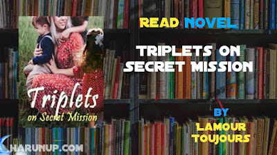 Read Novel Triplets on Secret Mission by Lamour Toujours Full Episode