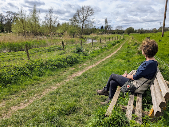 The bench on Wheathampstead footpath 67