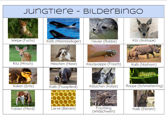 Jungtiere Bilderbingo