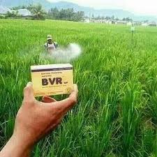 BVR