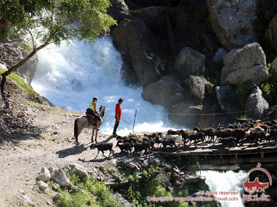 Trekking al lago Sary-Chelek y descanso activo al pie del Pico Lenin